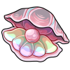 clam